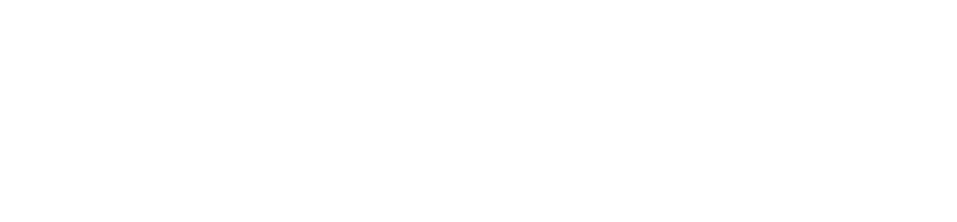 Sunwoda logo